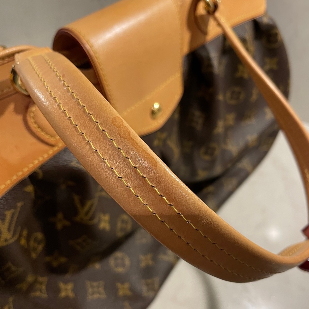 Louis Vuitton Purse - Picture 13 of 16